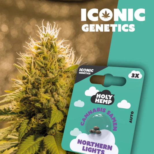 Holy Hemp Samen Northern Lights (Auto Flowering) 3 Stück